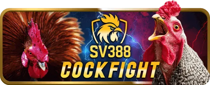 Các sự kiện thể thao đặc biệt với tiền thưởng lớn tại 99win55