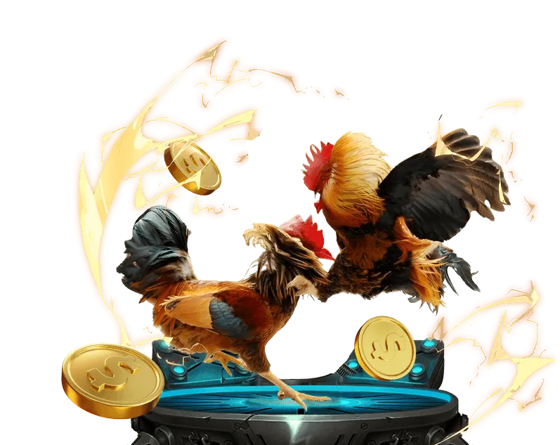 Tổng quan các chương trình khuyến mãi tại 99win55